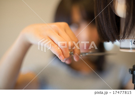 beauty parlor 17477815