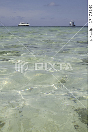 Clear Water / ナンユアン島 / Thailand 17478149