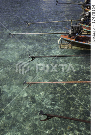 long-tail boat / タオ島/タイ王国 17478154