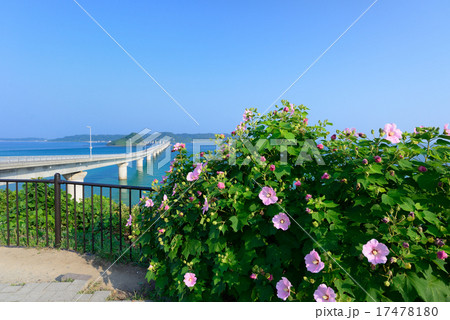 角島大橋 角島大橋 17478180