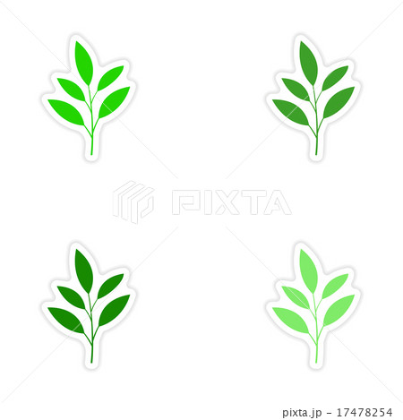 assembly realistic sticker design on paper leaves assembly realistic sticker design on paper leaves 17478254