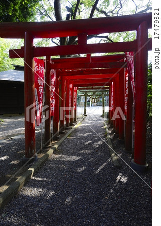 常盤稲荷の鳥居 常盤稲荷の鳥居 17479321