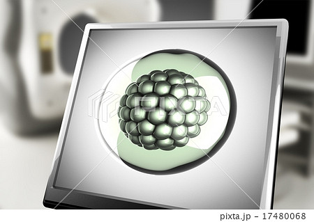 A micro cell on monitor in laboratory 17480068