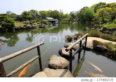 清澄庭園の新緑 17480219