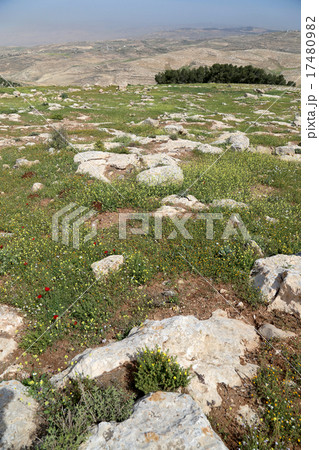 desert mountain landscape (aerial view), Jordan 17480982