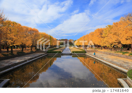 昭和記念公園 紅葉 昭和記念公園 紅葉 17481640