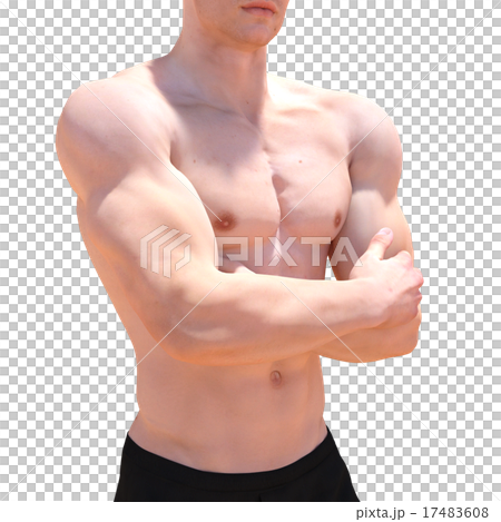 鍛えた躯の男性　perming3DCGイラスト素材 17483608