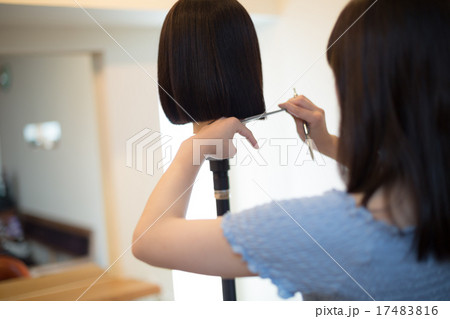 beauty parlor beauty parlor 17483816