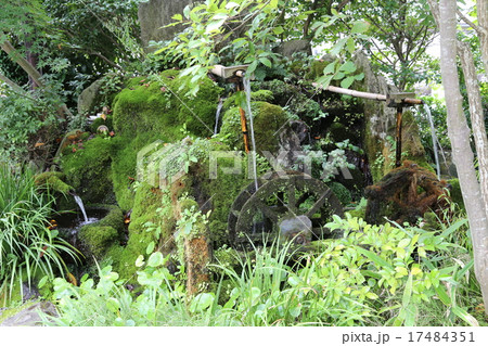 水基の写真 水基の写真 17484351