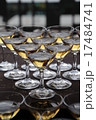 カクテルグラス 17484741