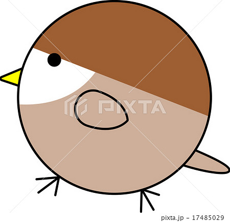 丸鳥 雀 スズメ のイラスト素材 17485029 Pixta