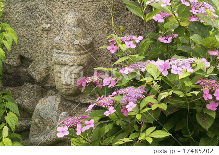 奈良 般若寺 紫陽花咲く頃の写真素材 奈良 般若寺 紫陽花咲く頃の写真素材