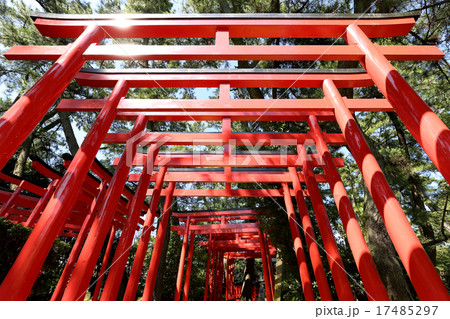 鳥居 鳥居 17485297