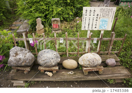奈良　般若寺　紫陽花咲く頃 17485386