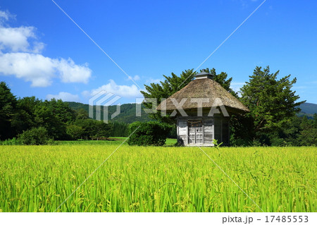 秋の荒神神社 秋の荒神神社 17485553