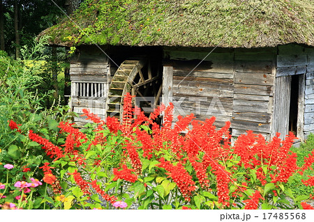 秋の山口の水車小屋 17485568
