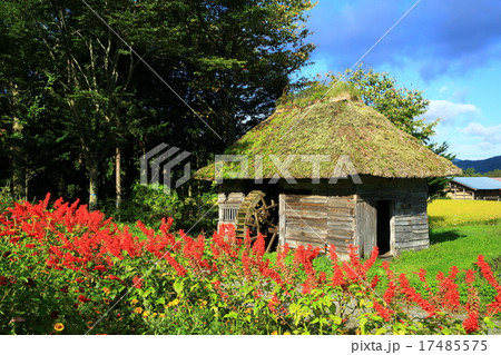 秋の山口の水車小屋 17485575