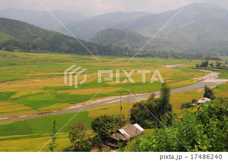 Hmong village between the rice fields in Sapa 17486240