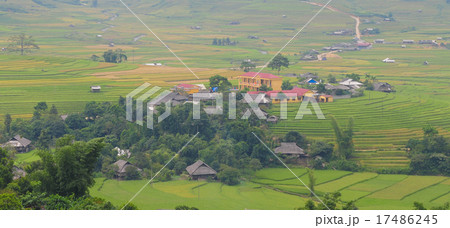 Hmong village between the rice fields in Sapa Hmong village between the rice fields in Sapa 17486245