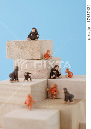 猿山 猿山 17487424