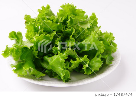 レタス 17487474