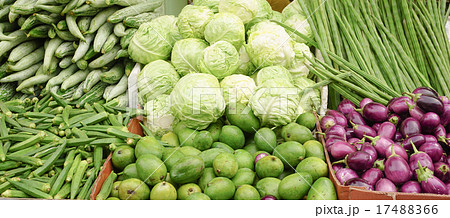 Raw green vegetables in a market Raw green vegetables in a market 17488366