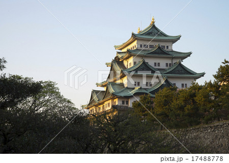 Nagoya Castle 17488778