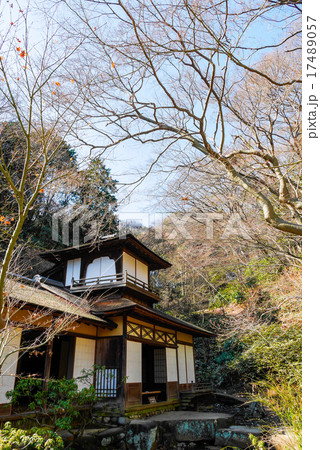 横浜 横浜 17489057