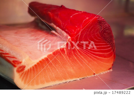 マグロ　中トロ　大トロ 17489222