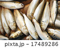 こはだ 17489286