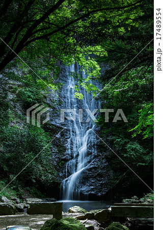 琴滝 17489554