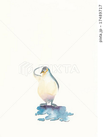 ペンギン 17489717