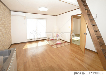 LDK 17490055