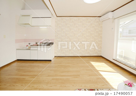 LDK 17490057