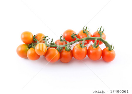 トマト 17490061