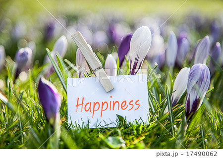 The Word „Happiness" with crocuses The Word „Happiness" with crocuses 17490062