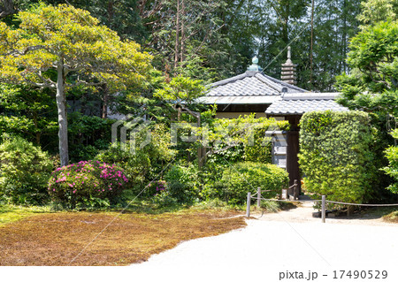 東福寺芬陀院 - 雪舟寺 17490529