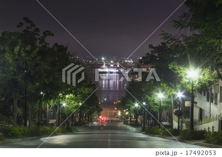 函館 八幡坂夜景 17492053
