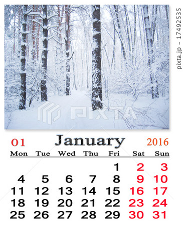 calendar for January 2016 with birches in snow calendar for January 2016 with birches in snow 17492535