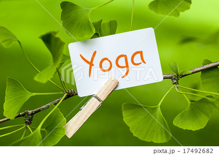 The Word „Yoga“ in a Ginkgo Tree The Word „Yoga“ in a Ginkgo Tree 17492682