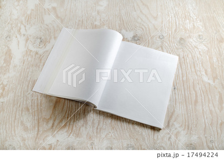 Blank opened brochure Blank opened brochure 17494224