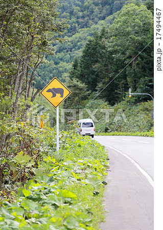 クマ 道路標識 交通標識 道路案内 警告 注意 野生動物 危険 動物注意の写真素材