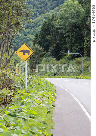 クマ 道路標識 交通標識 道路案内 警告 注意 野生動物 危険 動物注意の写真素材