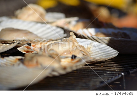 ホタテの貝殻焼き ホタテの貝殻焼き 17494639