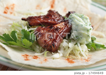 Gyro closeup 17494649
