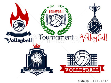 Volleyball sport game icons and symbols 17494812