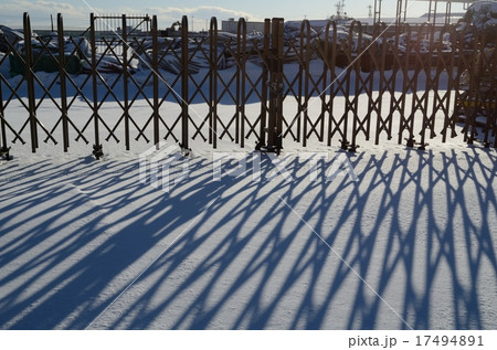 雪にうつった影 17494891