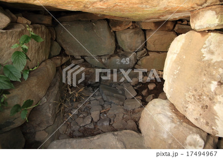 大室古墳群　243号墳　盗掘坑のぞき口から見る石室内部 17494967