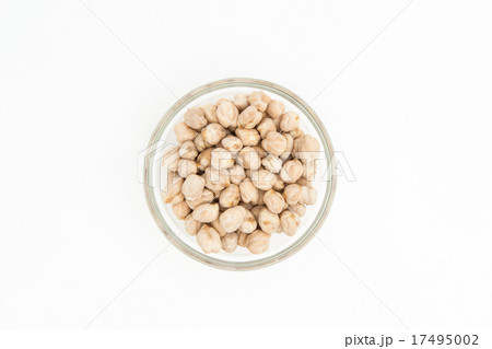 ヒヨコマメ 17495002