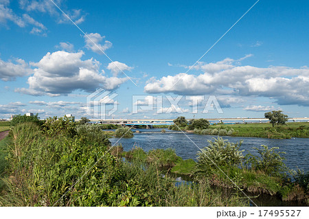 庄内川　河川敷 17495527